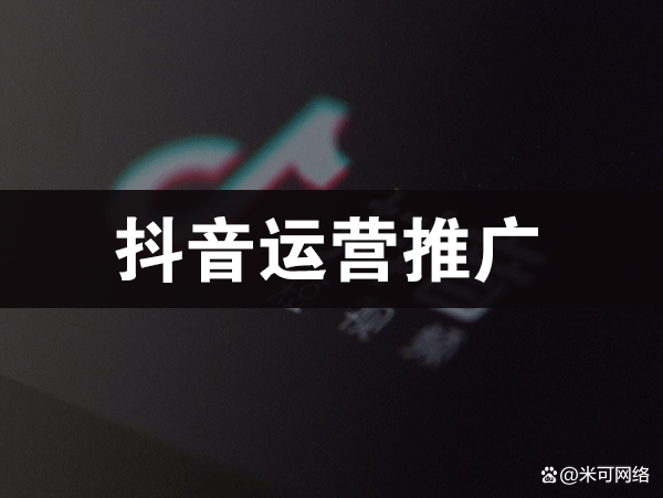 網絡推廣代運營公司
